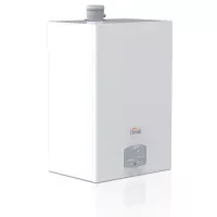 Газовый котел Ferroli Force W 120
